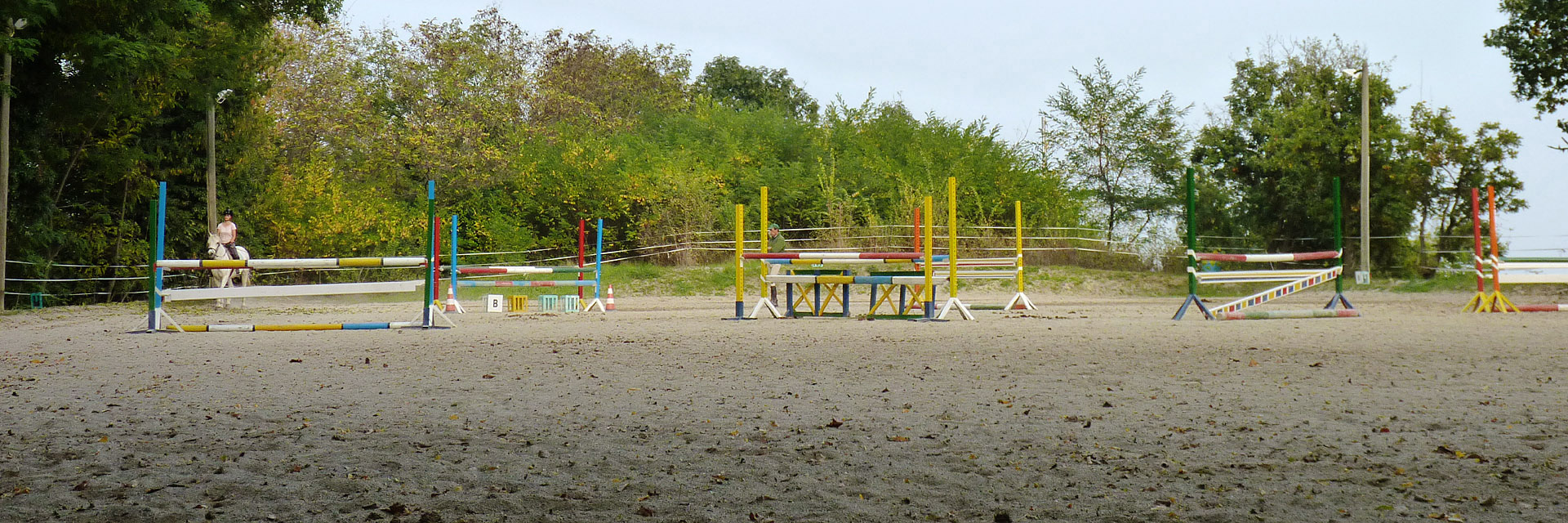 La Barona Pony Connemara Villar San Costanzo (Cuneo)