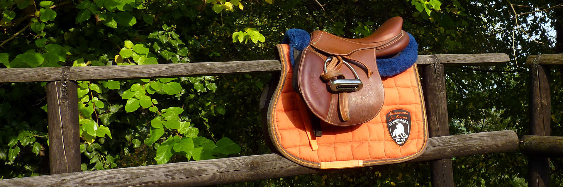 La Barona Pony Connemara Villar San Costanzo (Cuneo)