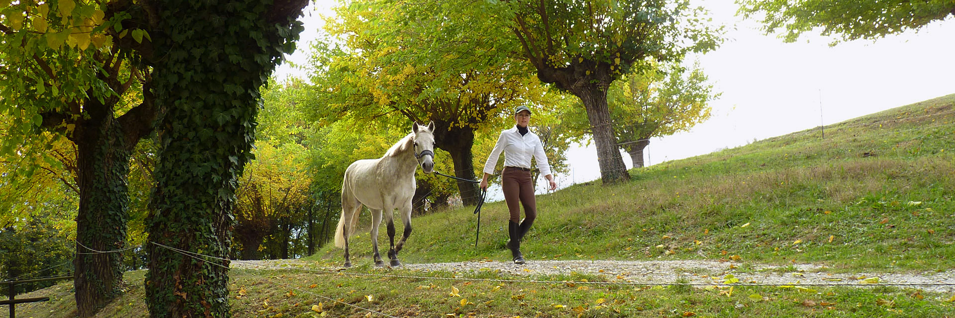 La Barona Pony Connemara Villar San Costanzo (Cuneo)